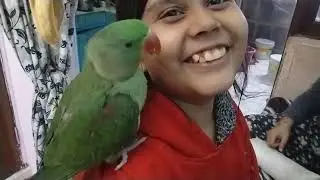 #parrot baby ne kiya Kamal