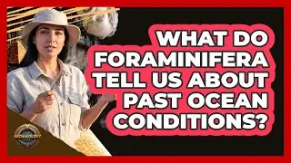 What Do Foraminifera Tell Us About Past Ocean Conditions?