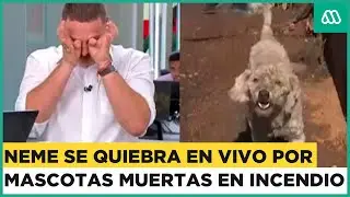 José Antonio Neme rompe en lágrimas por mascotas perdidas y muertas en el incendio