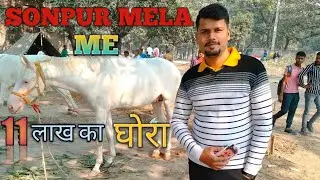 SONPUR MELA VLOG 2022 || सोनपुर मेला व्लॉग 2022 || SONPUR MELA BIHAR 2022