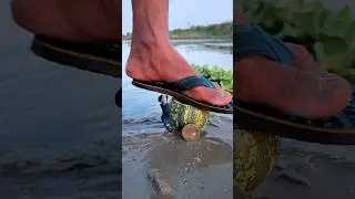 Kadua ki ladiya se amazing videography idea 😍👀 #shorts