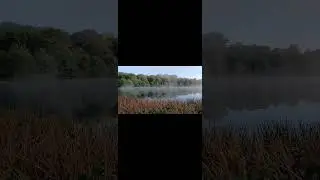 Early morning mist rising from the Frensham Pond ❤️ #frensham #farnham #mist #earlymorning
