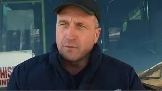 Autobuze Puhoi