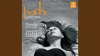Mein Herze schwimmt im Blut, BWV 199: No. 4, Aria. 
