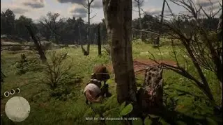 Coach robbery |  Red Dead Redemption 2