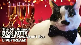 Boss Kitty LIVE! NYE Stream 2026