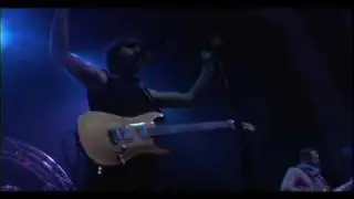 noctaluca live control freak