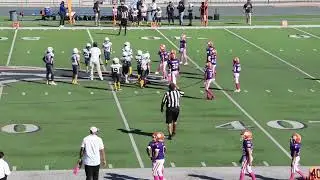 micro vs corona chargers gold