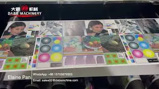 DABA 320mm 6 colors semi rotary offset printing machine