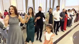 ŞİLAN & SABRİ KINA SEGAVİ