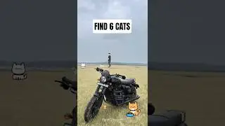Can You Find All 6 Hidden Cats? 👀 #puzzle#findtheobject#challenge#hiddenobjects#shorts