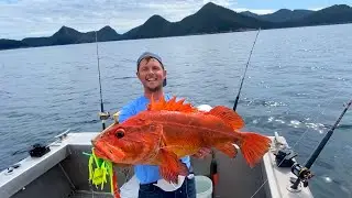 Alaskan Goldfish! Catching A Yelloweye Rockfish While Fishing in Seward Alaska