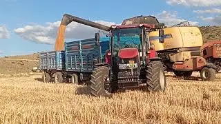 2025 Buğday ve Arpa Hasadı Umutlar Başka Yıla