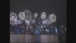 Fireworks light up Victoria Harbour in Hong Kong to celebrate 2016