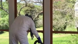Brown Tail Moth Removal