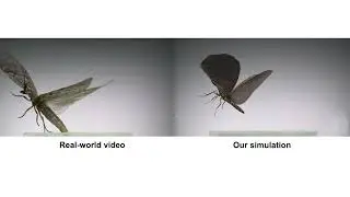 Real-time Wing Deformation Simulation for Flying Insects (SIGGRAPH 2024 Conference Paper)