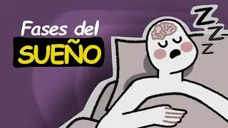 🧠FASES del SUE&Ntilde;O, tu cerebro al dormir✅