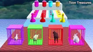 Paint Animals Gorilla Cow Tiger Lion Elephant  Rat Fountain Crossing Animal Game #podcast
