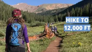 Herman Gulch Trail WILDFLOWER HIKE to Lake at 12,000 feet!
