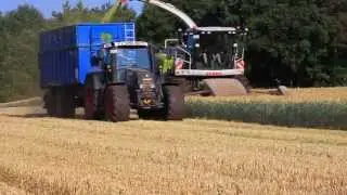 Claas Jaguar 950 h&auml;ckselt GPS mit 2 Fendt 916, 820 Black Beauty und 1 Fendt 920