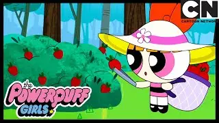 Męstwo 4: Zabawa Donny'ego | Atom&oacute;wki | Cartoon Network