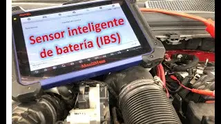 Sensor inteligente de la bater&iacute;a (IBS).