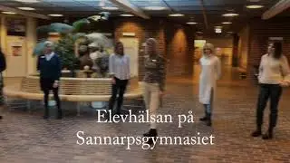 Elevh&auml;lsan p&aring; Sannarpsgymnasiet