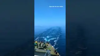 Living on a vessel is the best moment of my life 🌊🌊🚢🚢 #viralshort #video