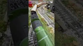 Peco 3 way point passed over by the Flying Scotsman.