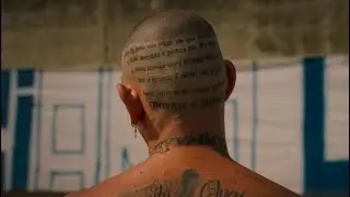 ULTRAS 2020 - Coro o Gabbiano