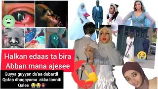 #akka lonitii  qalee ajesee  😭#halkan edaas  Shamaren takkaa abban #ajefamate #michuumedia #likesher
