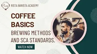 SCA CSP Introduction to coffee online classes! - Episode 9 - Brewing Methods And Standardization