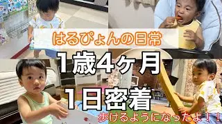 【1歳4ヶ月】歩くようになりました！！#赤ちゃんの1日#ルーティン#1歳 #1日密着#成長記録