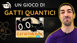 Come si gioca a Cat in the Box?