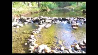 Wardensville, WV HD