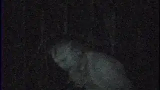 Stubs - Scarecore