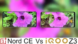 OnePlus Nord CE Vs iQoo Z3 Camera Test