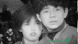 ☆彡 ふきのとう／初恋　...ever last version （1992年）　2024年　≪No.7≫