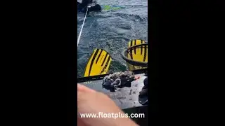 Float Plus SOS
