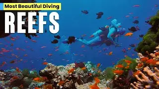 World's Best Scuba Diving Spots │ Best Diving Sites | Nautical Depths