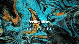 🎵  Feeling Alive - NicoTeenLow 🎵  [ Electro Acoustic ]