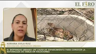 EL BIOPARQUE URBANO: UN LUGAR DE ESPARCIMIENTO PARA CONOCER LA NATURALEZA DE TARIJA EN VACACIONES