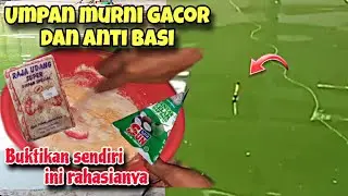 RACIKAN UMPAN PUTIH 24 JAM TANPA BASI‼️MURNI & GACOR BUKTIKAN SENDIRI UMPAN IKAN MAS HARIAN & LOMBA