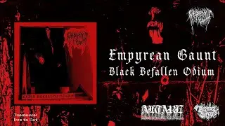 Empyrean Gaunt - Black Befallen Odium (full album, 2025)