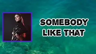 Tenille Arts - Somebody Like That (Lyrics)