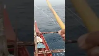 Queen Talia omuwe na dahil papalakas na Ang masamang panahon.#fishing #outdoor #fish
