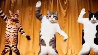 Three Cats Dance in Perfect Sync 😳🐱💃 | Must Watch!