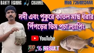 নদী এবং পুকুরে কাতল মাছ ধরার পিপড়ে ডিম পচা ল্যাপিং ১০০% কার্যকরী