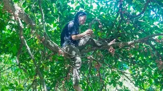 48H SURVIVAL CHALLENGE in the forest - No house, no electricity, no food