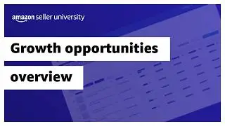 Growth Opportunities overview for selling on Amazon